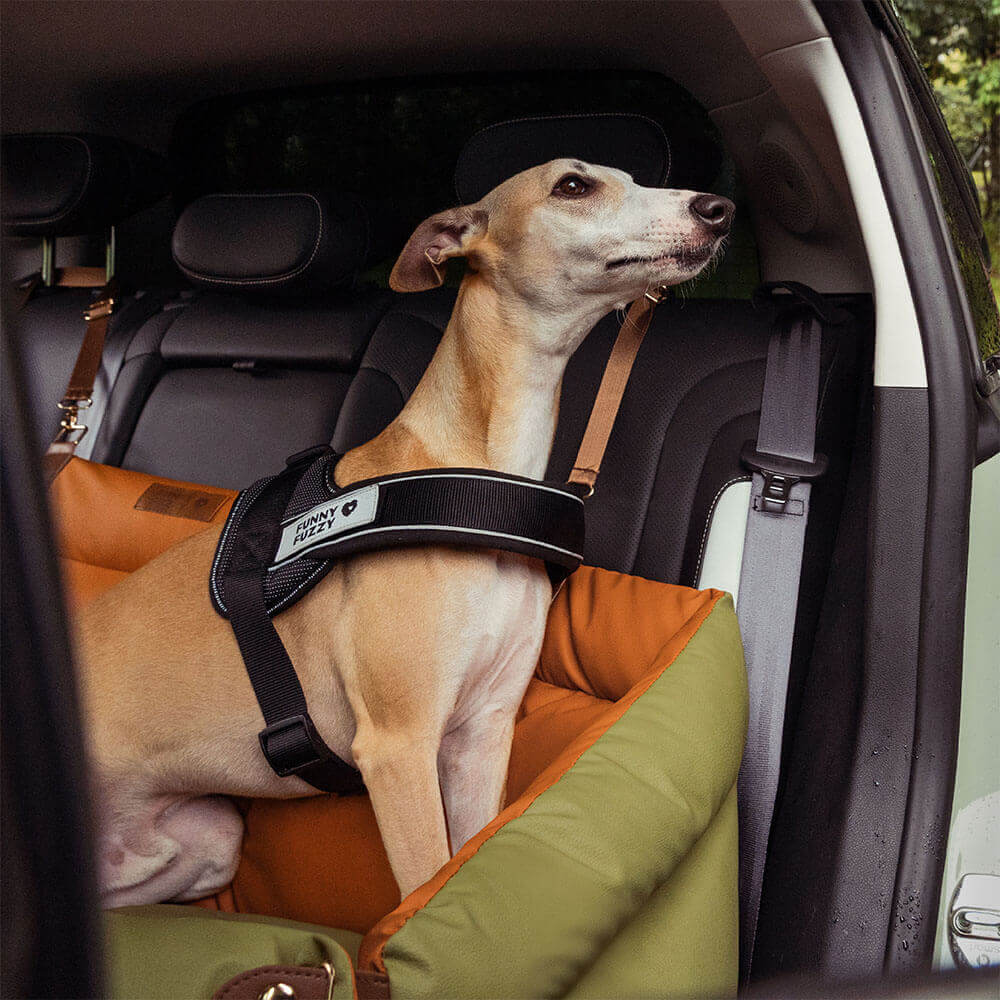 Silla de Auto para Perro – Confort y Protección