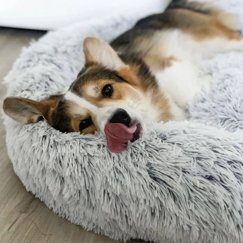 Cama Aconchegante Ultra Macia Para Animais – Conforto E Serenidade