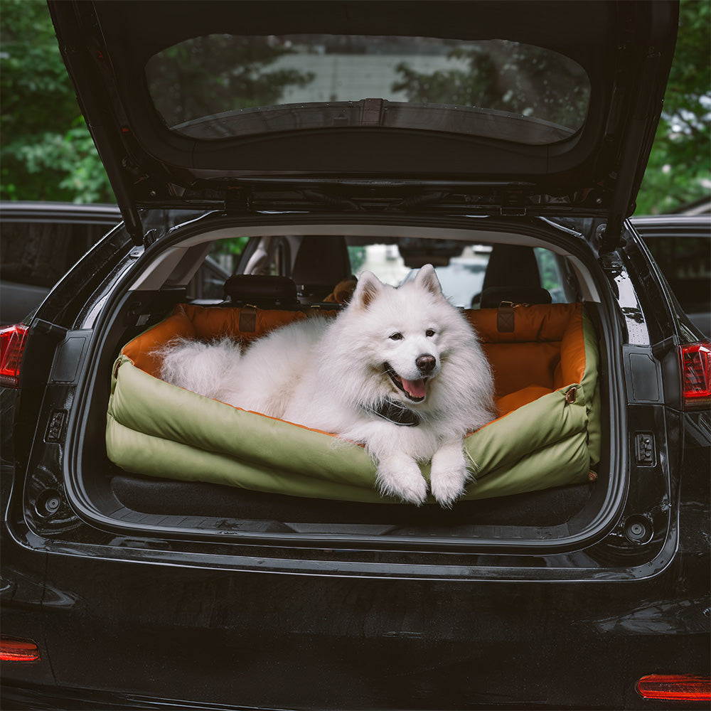 Silla de Auto para Perro – Confort y Protección