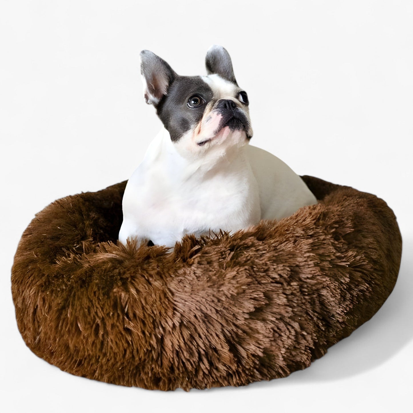 Cama Agradable Para Animales – Confortable y Sueño Reparador