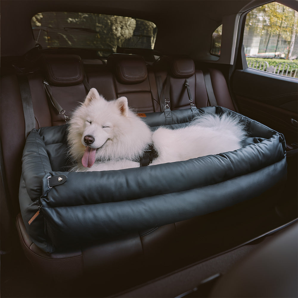Silla de Auto para Perro – Confort y Protección