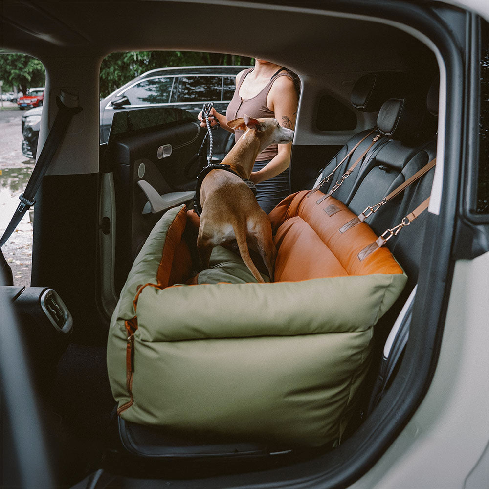 Silla de Auto para Perro – Confort y Protección