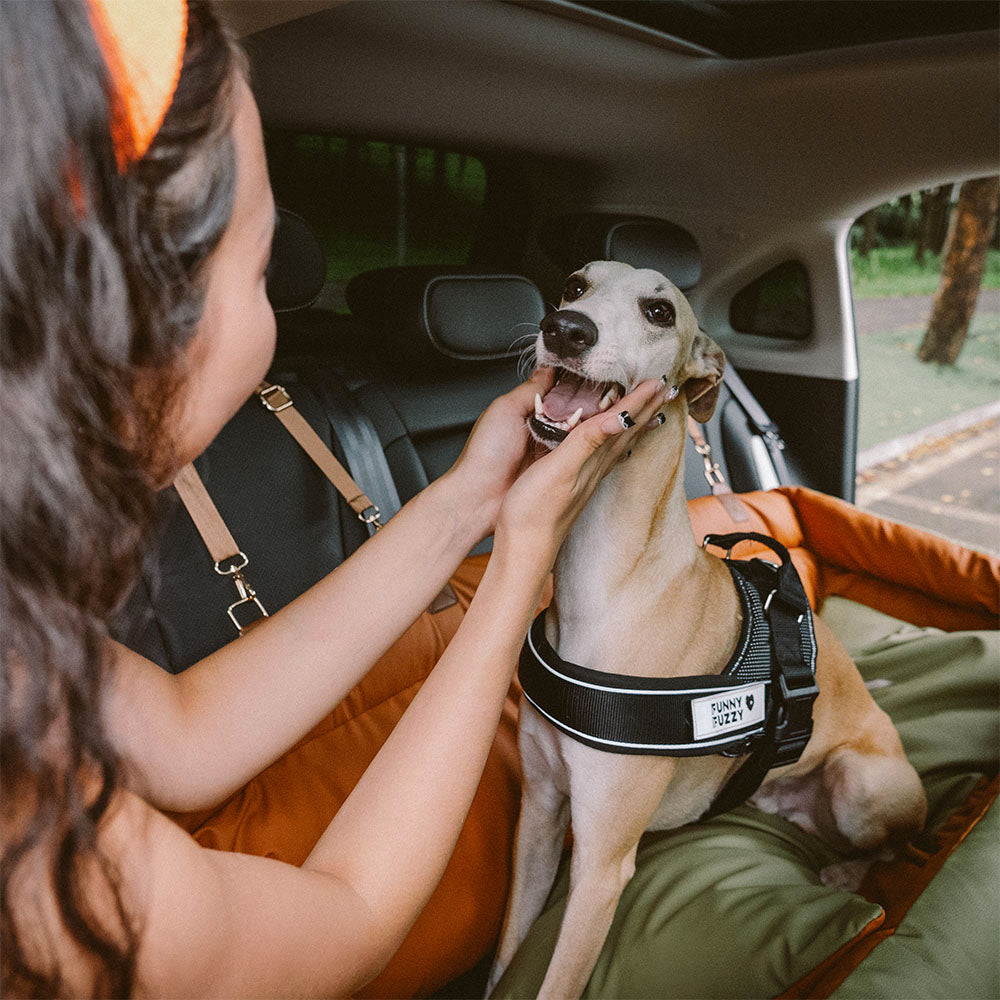 Silla de Auto para Perro – Confort y Protección