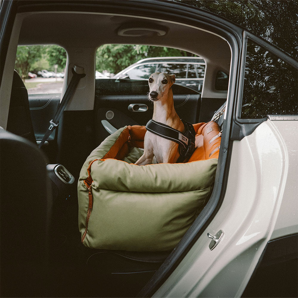 Silla de Auto para Perro – Confort y Protección