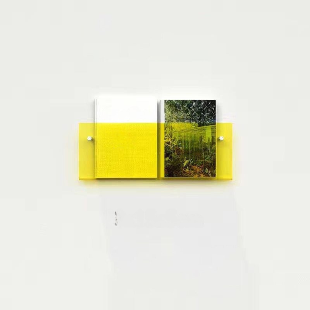 Transparent Wall Shelf Magazine Holder – Chic and Modern Design