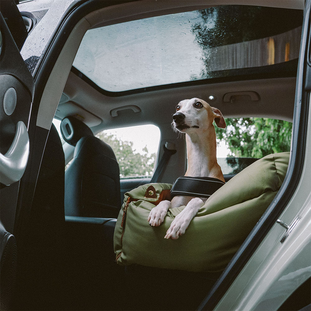 Silla de Auto para Perro – Confort y Protección