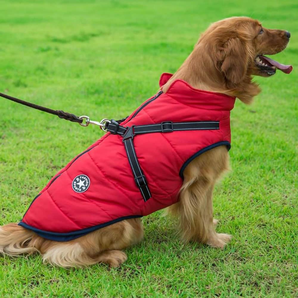 Parka Impermeabilă Pentru Câini - Protecție & Stil