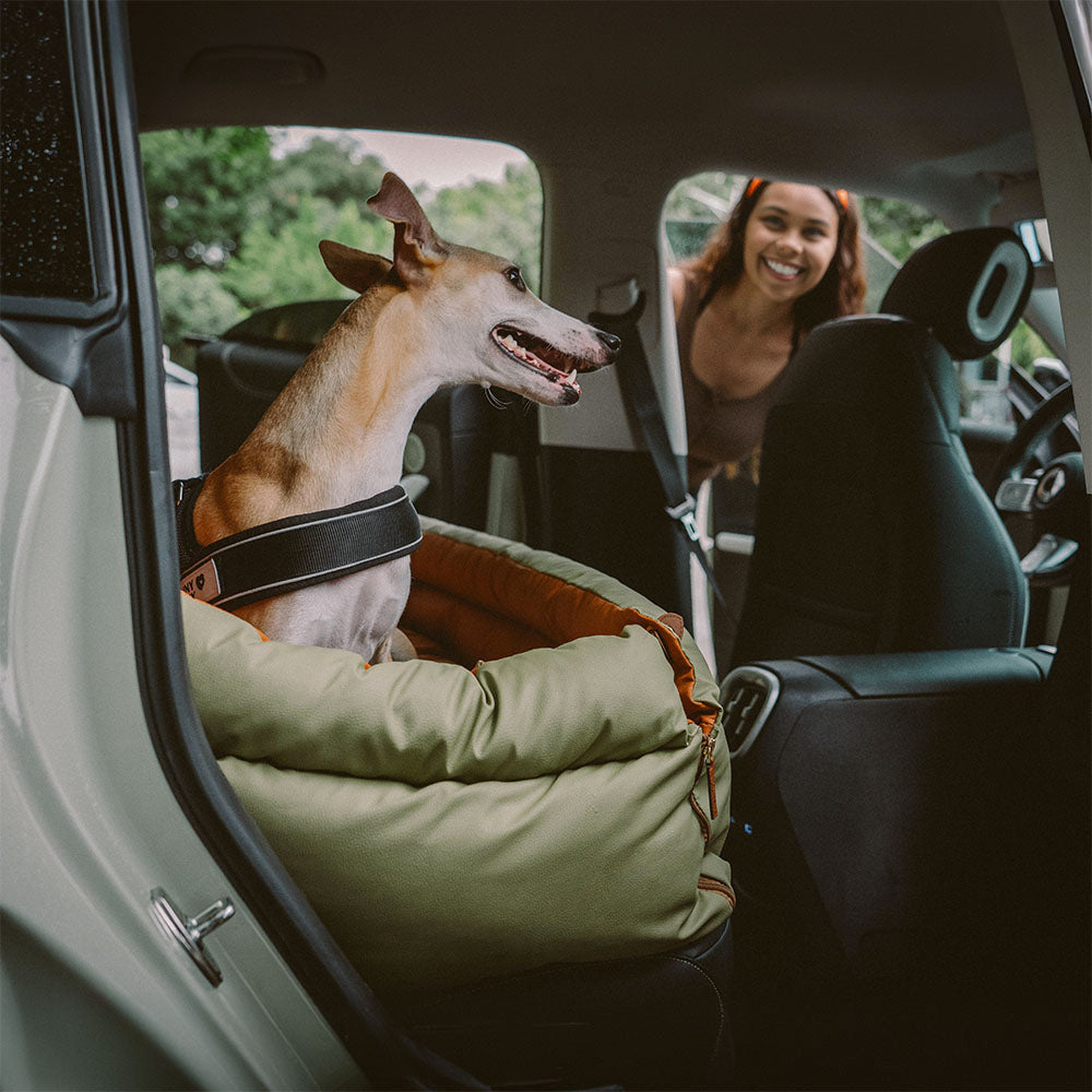 Silla de Auto para Perro – Confort y Protección