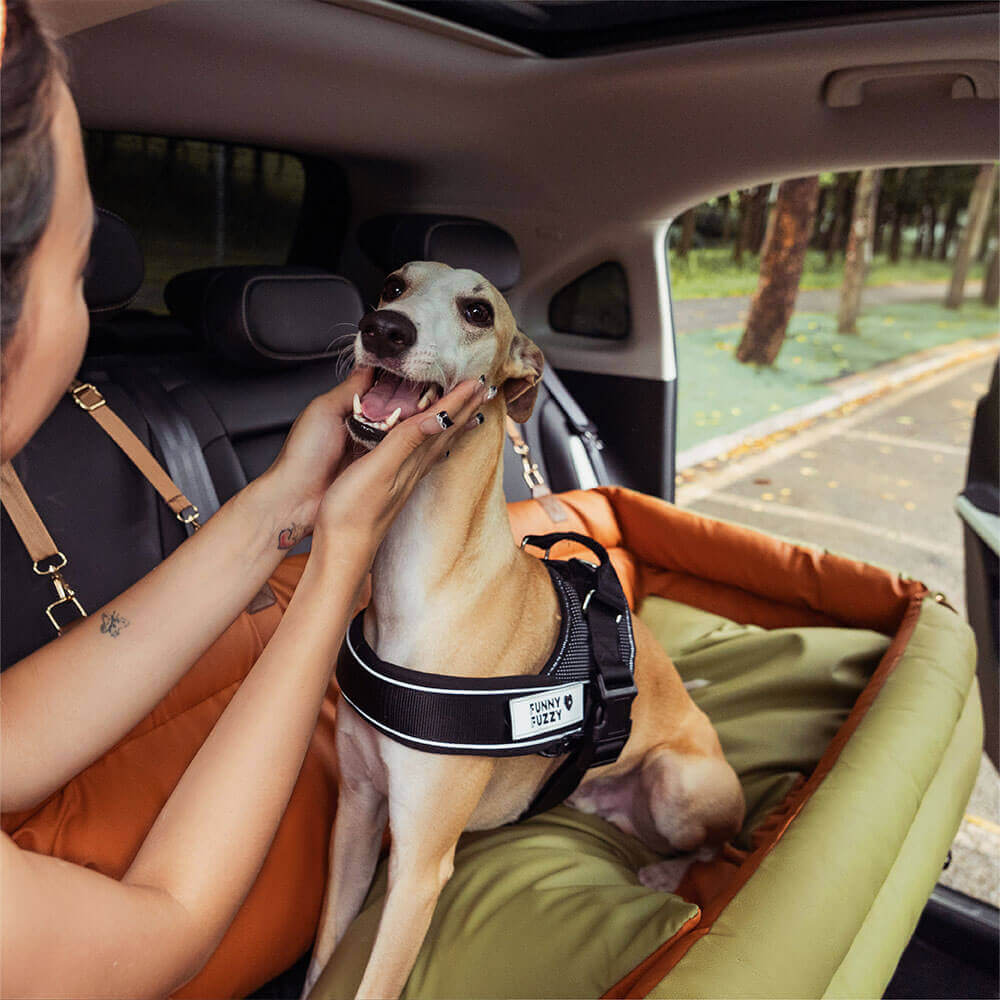 Silla de Auto para Perro – Confort y Protección