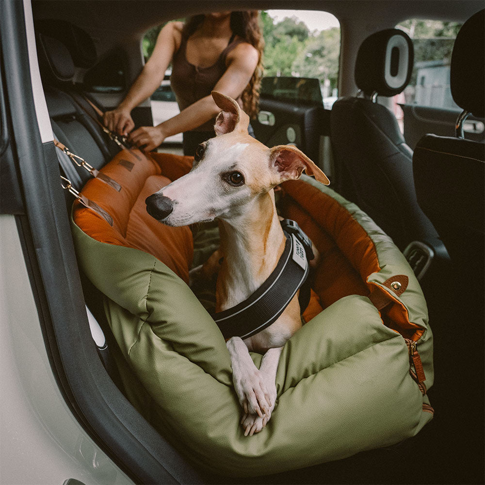 Silla de Auto para Perro – Confort y Protección