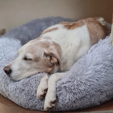 Cama Aconchegante Ultra Macia Para Animais – Conforto E Serenidade