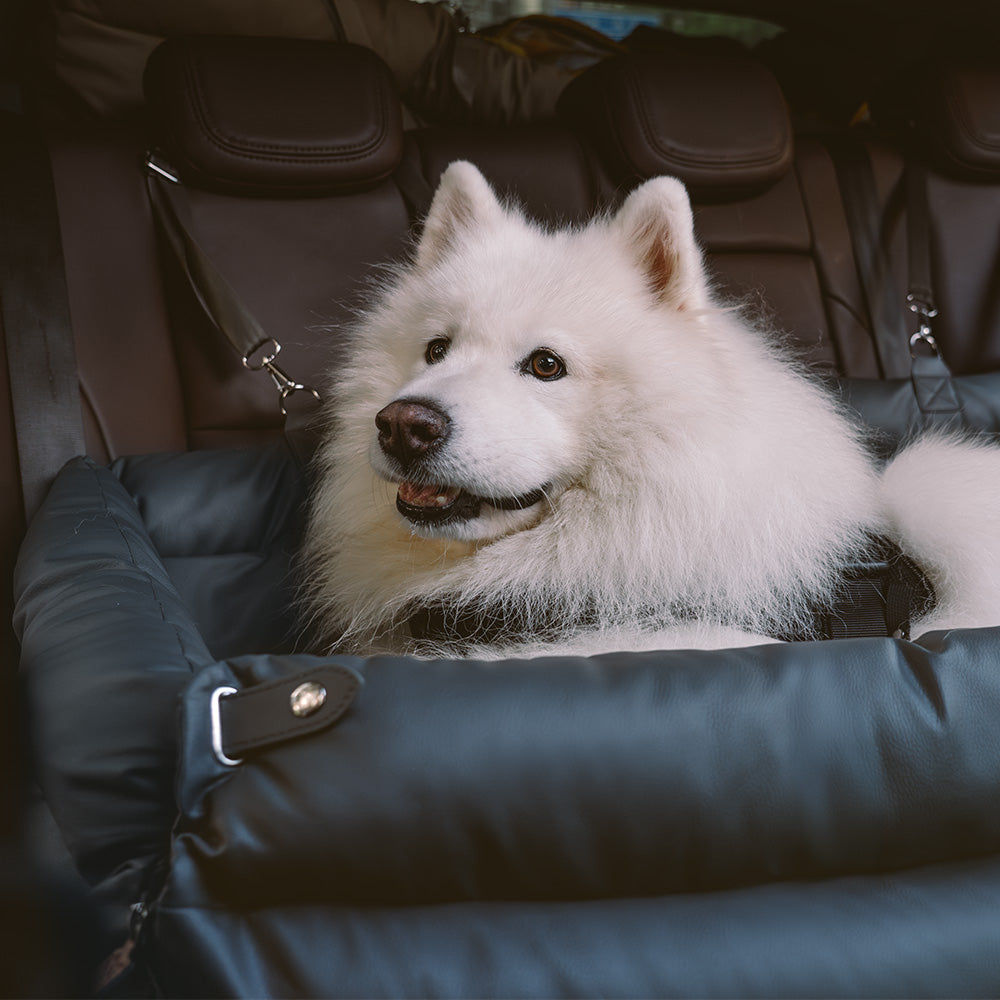 Silla de Auto para Perro – Confort y Protección