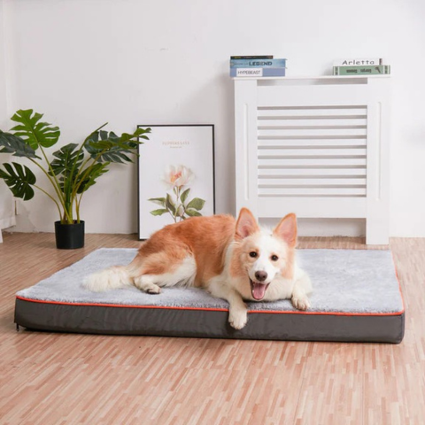 Hundebett für große Hunde – Komfort und angepasster Raum
