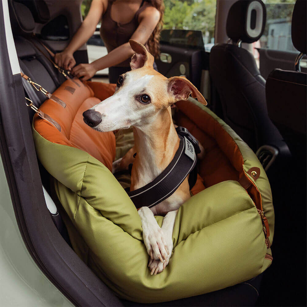 Silla de Auto para Perro – Confort y Protección