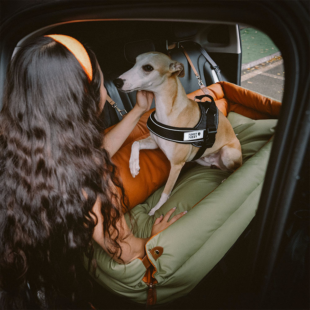 Silla de Auto para Perro – Confort y Protección