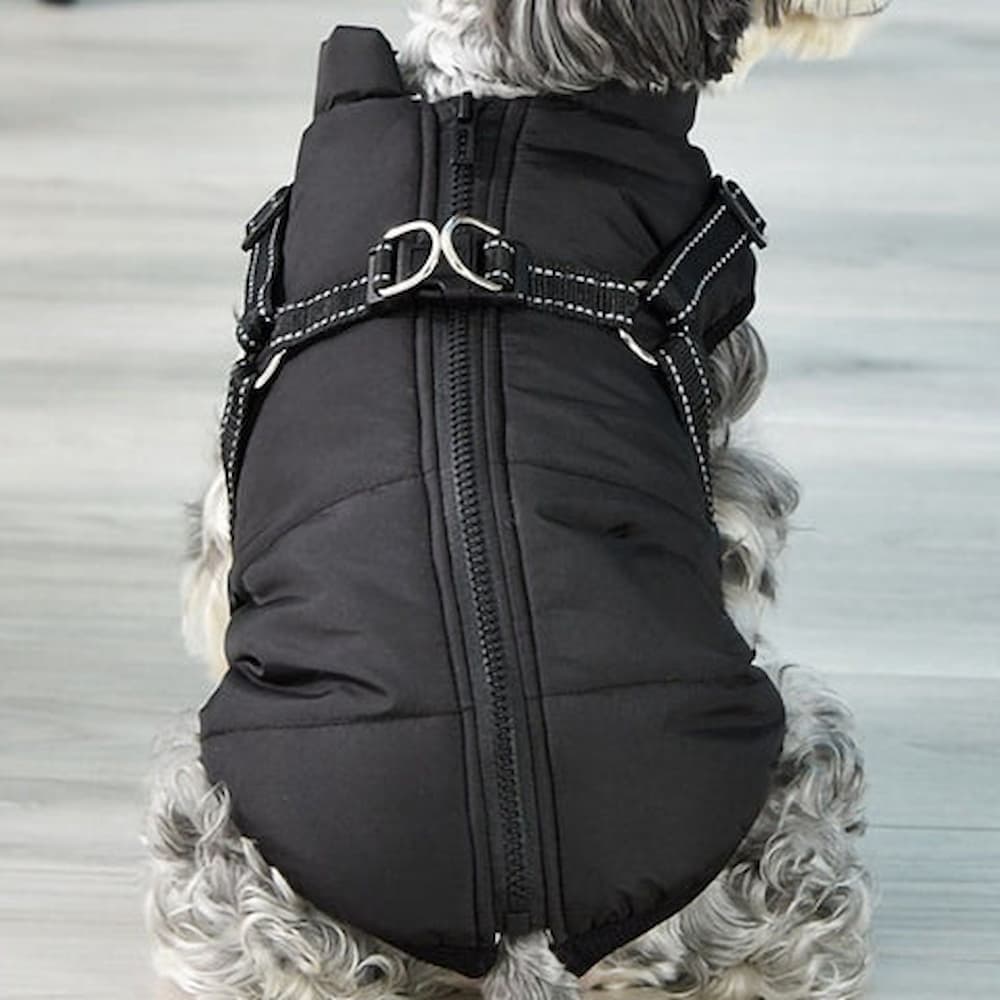 Parka Impermeabilă Pentru Câini - Protecție & Stil