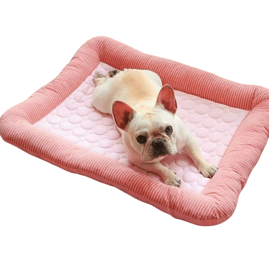 犬用クールクッション – 夏の涼しさと快適さ