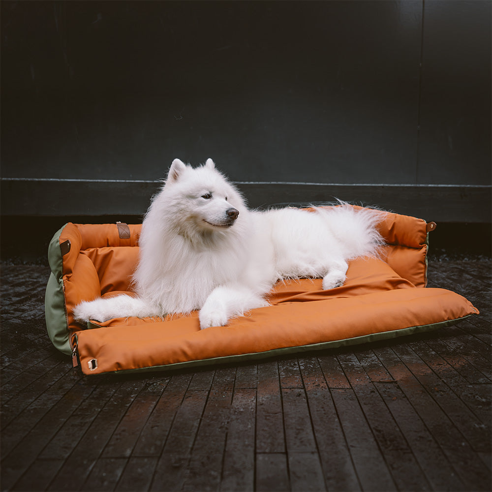 Silla de Auto para Perro – Confort y Protección