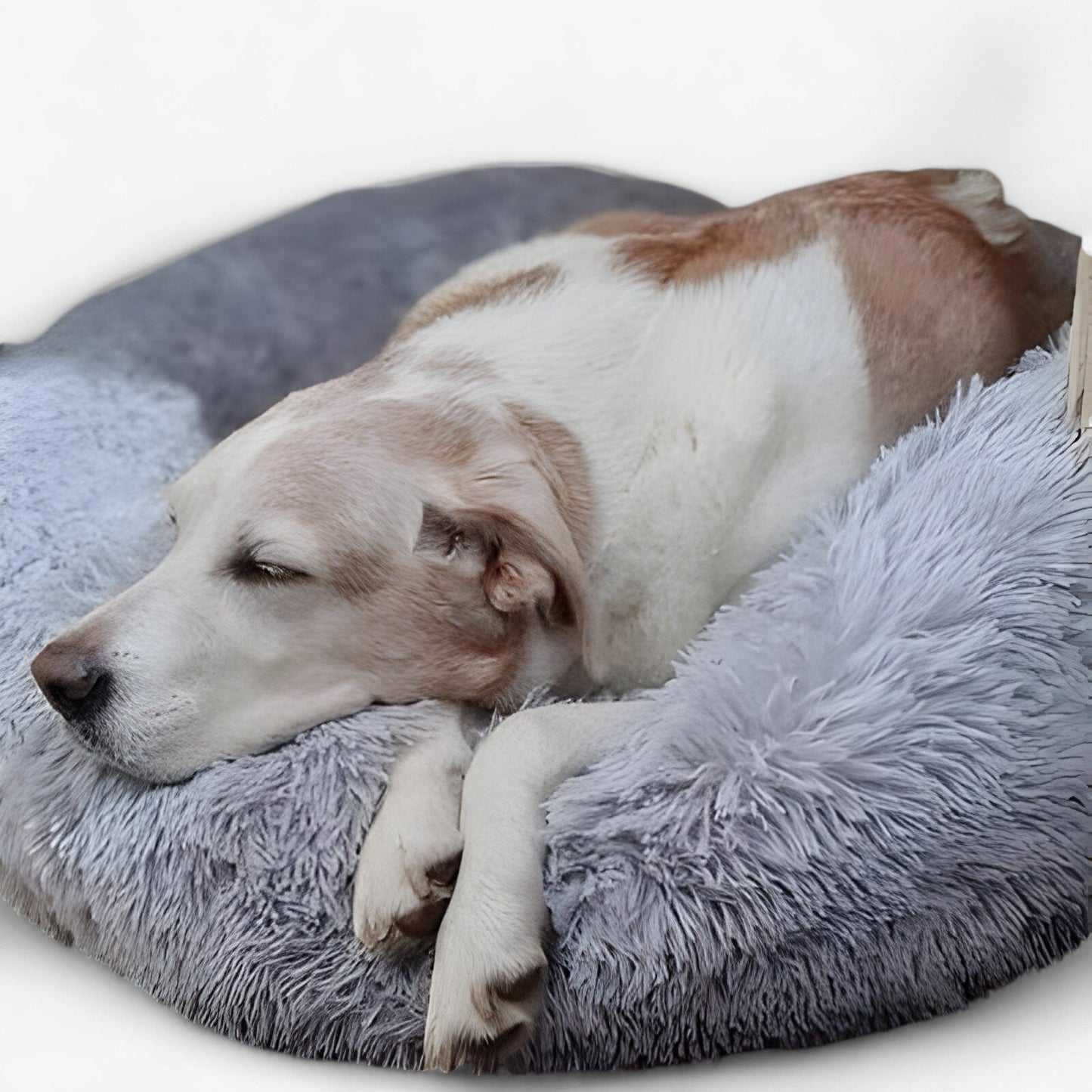 Cama Agradable Para Animales – Confortable y Sueño Reparador