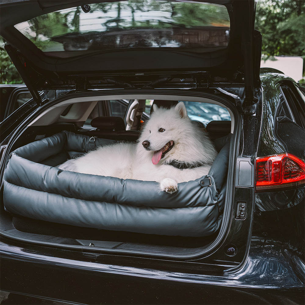Silla de Auto para Perro – Confort y Protección