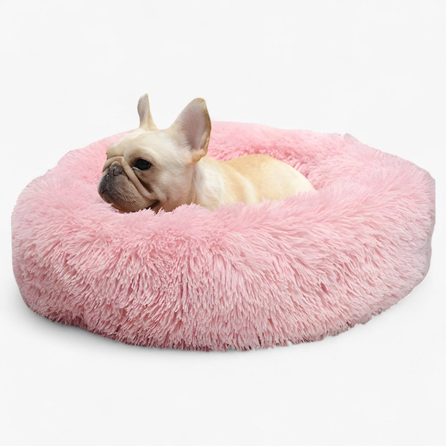 Cama Agradable Para Animales – Confortable y Sueño Reparador