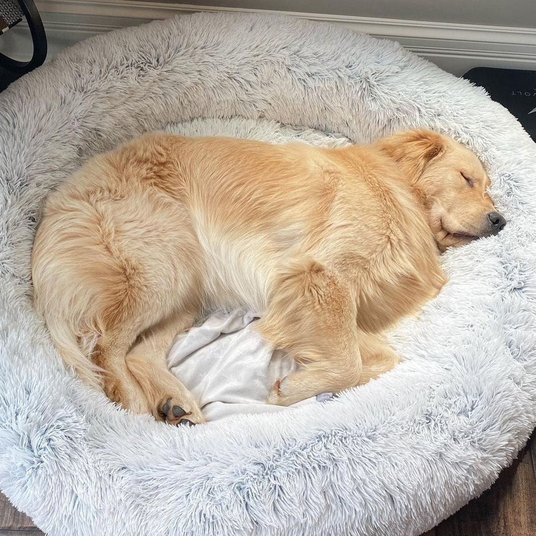 Cama Aconchegante Ultra Macia Para Animais – Conforto E Serenidade 