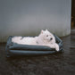 Silla de Auto para Perro – Confort y Protección 