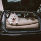 Silla de Auto para Perro – Confort y Protección 