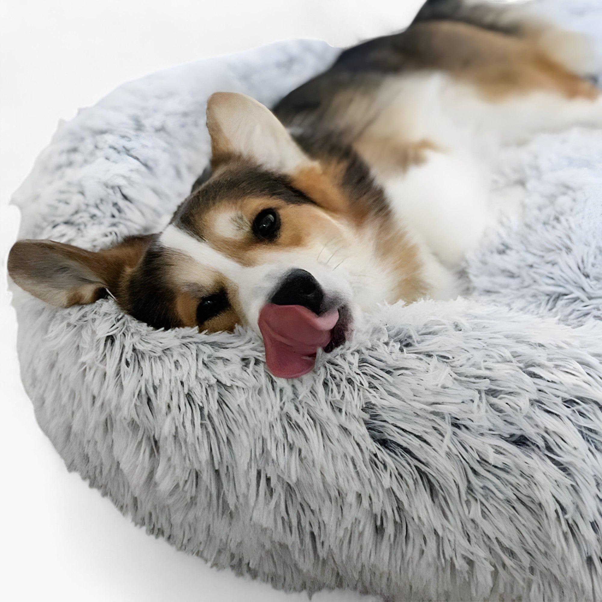 Letto Rilassante Per Animali – Comfort Accogliente E Sonno Ristoratore 