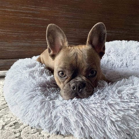 Cama Aconchegante Ultra Macia Para Animais – Conforto E Serenidade 