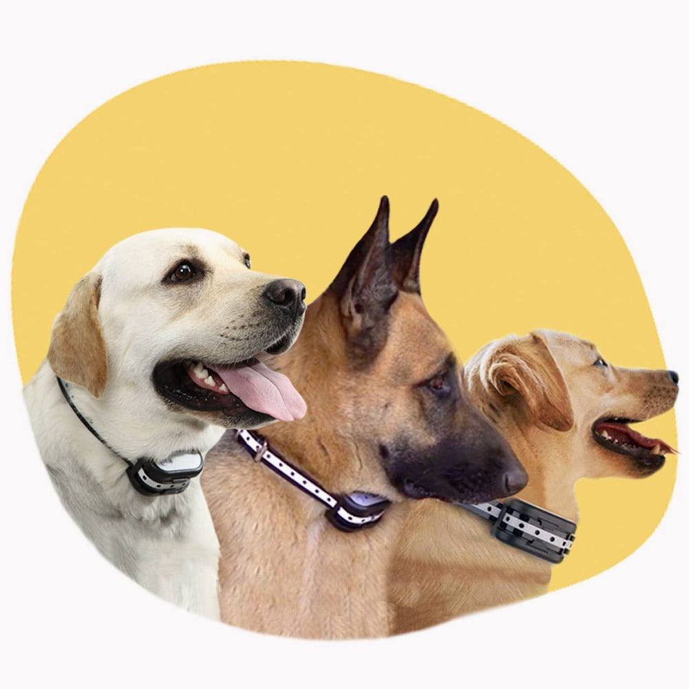 Draadloze Elektronische Omheining Met Halsband – Beveiliging Voor Uw Hond 