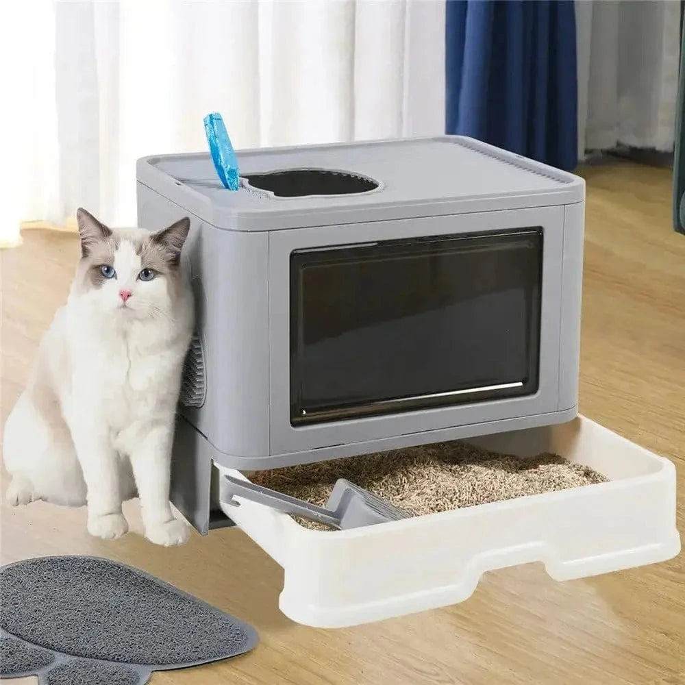 Cat Litter – Optimal Comfort and Hygiene 