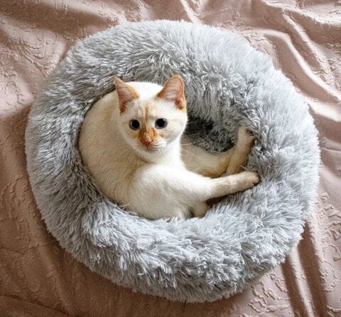 Cama Aconchegante Ultra Macia Para Animais – Conforto E Serenidade 