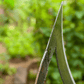 Hollow Garden Hoe – A Precise Tool for Effortless Work 