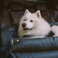Silla de Auto para Perro – Confort y Protección 