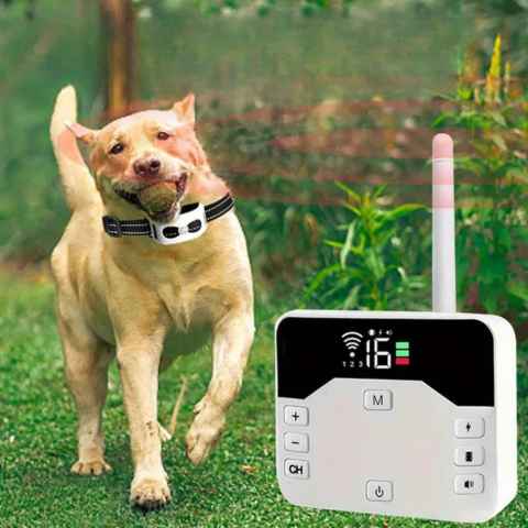 ワイヤレスフェンスとしつけ用カラー – 犬の安全と教育 