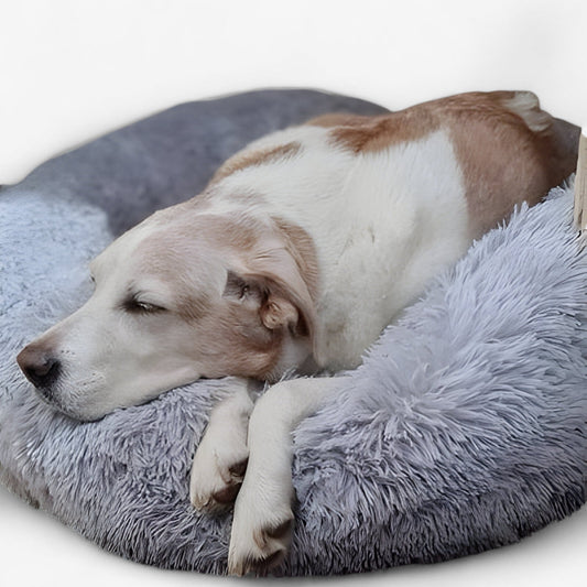 Cama Agradable Para Animales – Confortable y Sueño Reparador 