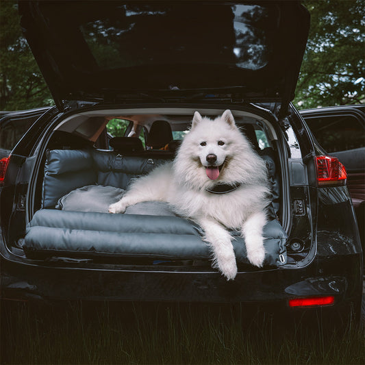 Silla de Auto para Perro – Confort y Protección 