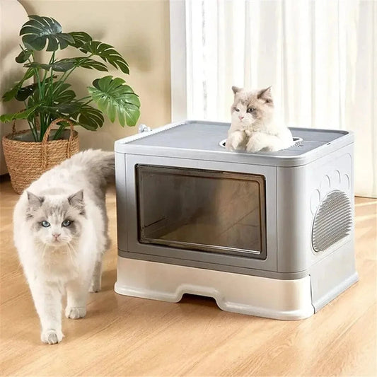 Cat Litter – Optimal Comfort and Hygiene 