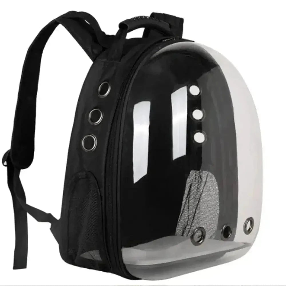 Rucksack für Katzen – Komfort und Sicherheit auf Reisen 