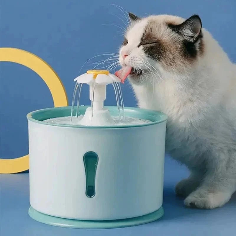 Kattedrikkefontene – Hydrering og Eleganse 