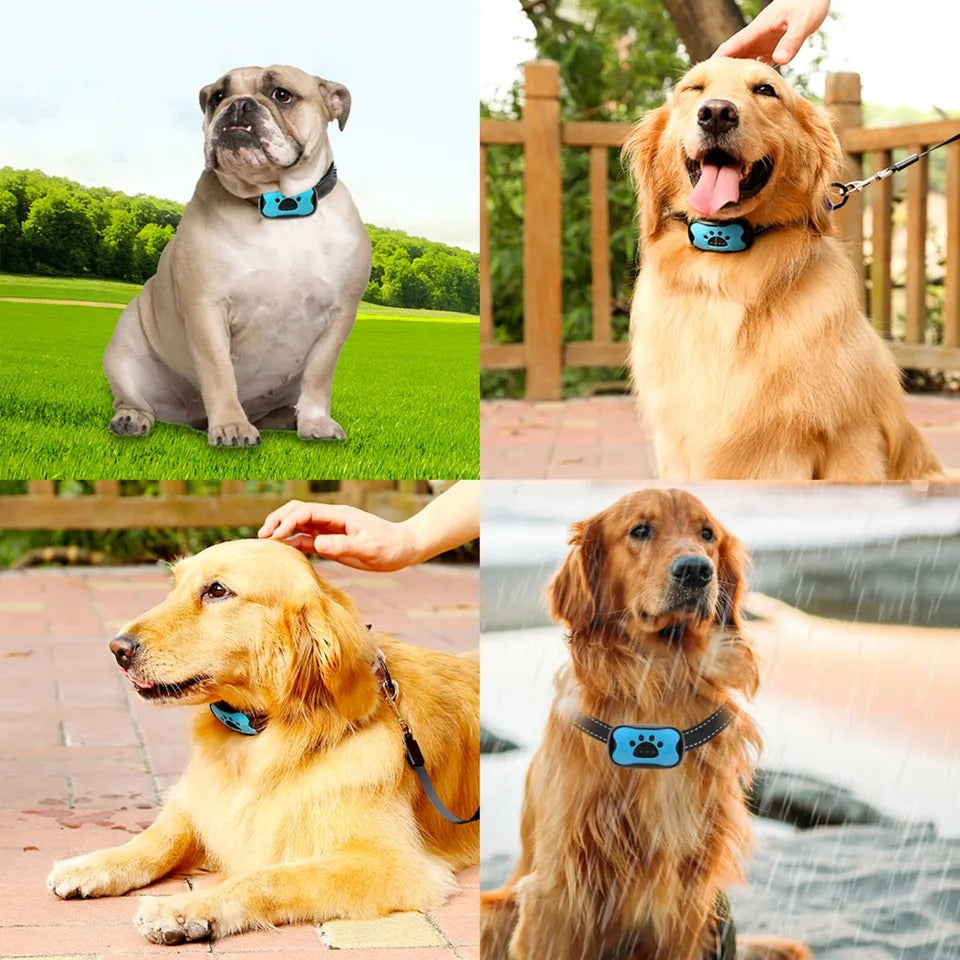 Anti-Bark Collar for Dogs — Gentle and Effective Training 